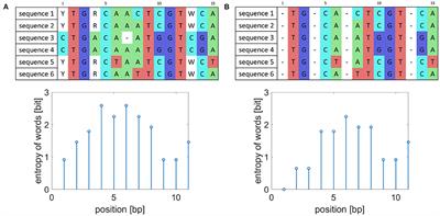 Word Entropy-Based Approach to Detect Highly Variable Genetic Markers for Bacterial Genotyping